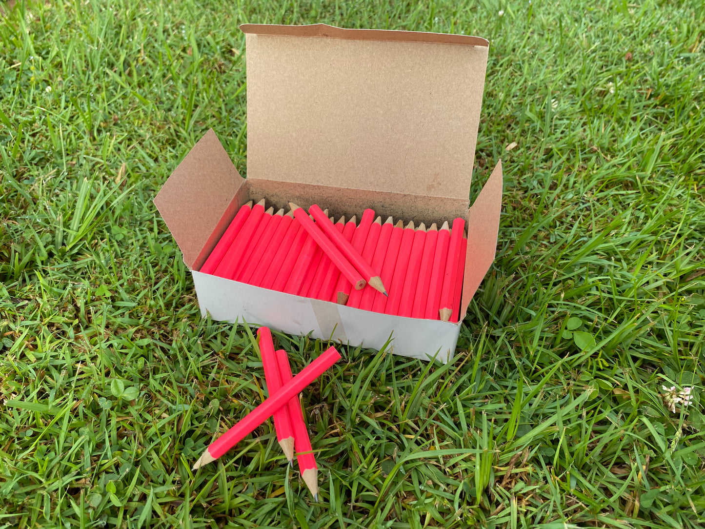 Wooden Pencils - Neon 100 pack (New stock arriving Monday, 1st Dec.)