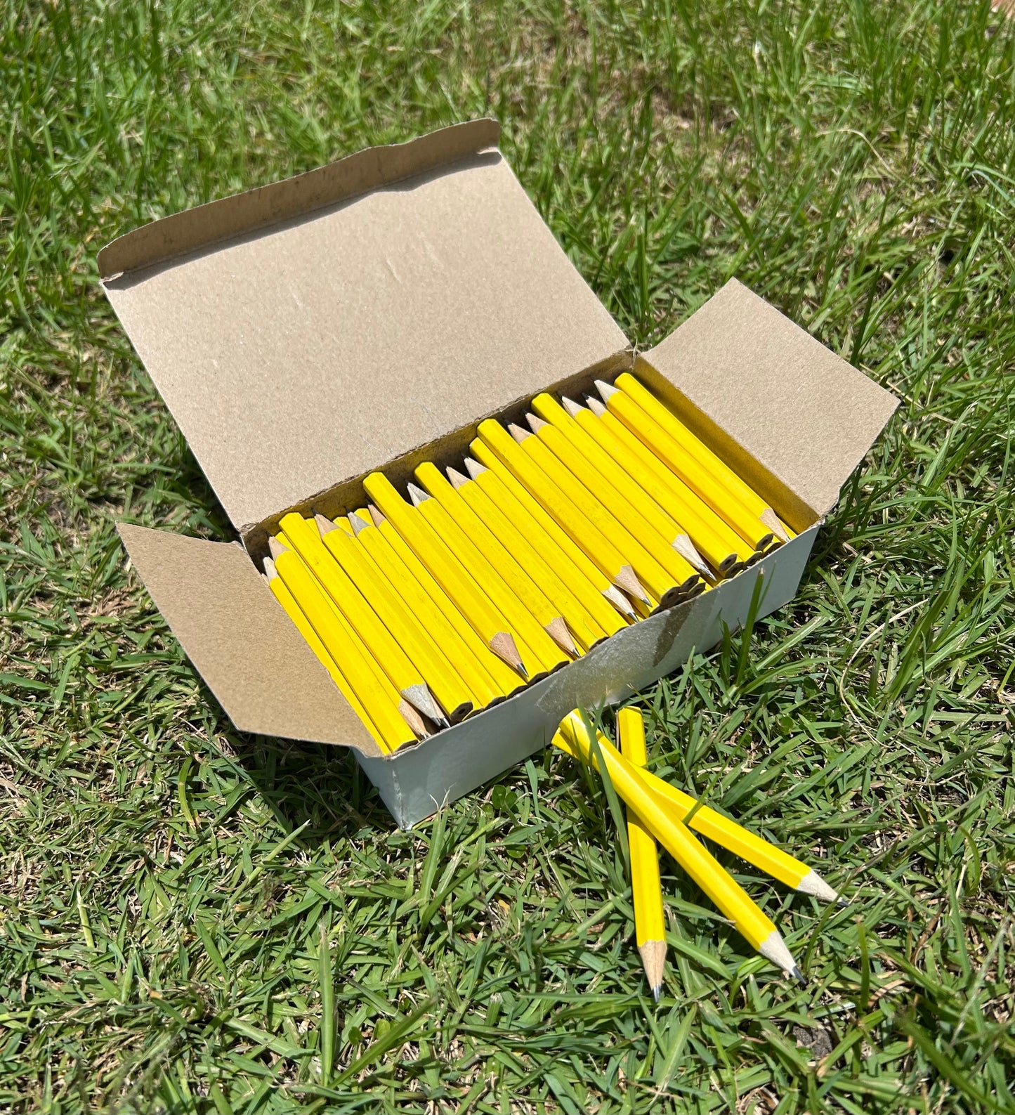 Wooden Pencils - Neon 100 pack