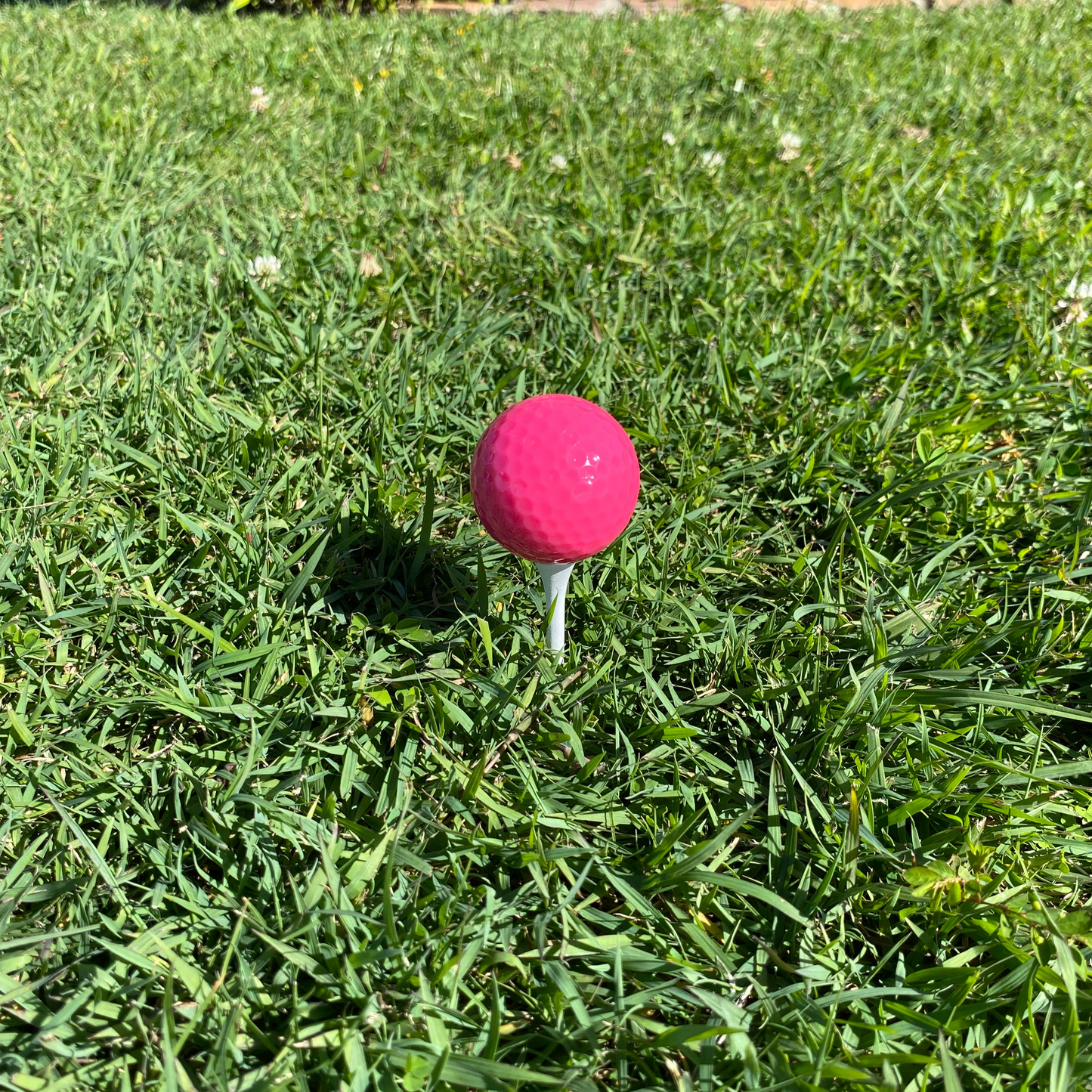 Mini Golf Balls - Standard Bounce (new)