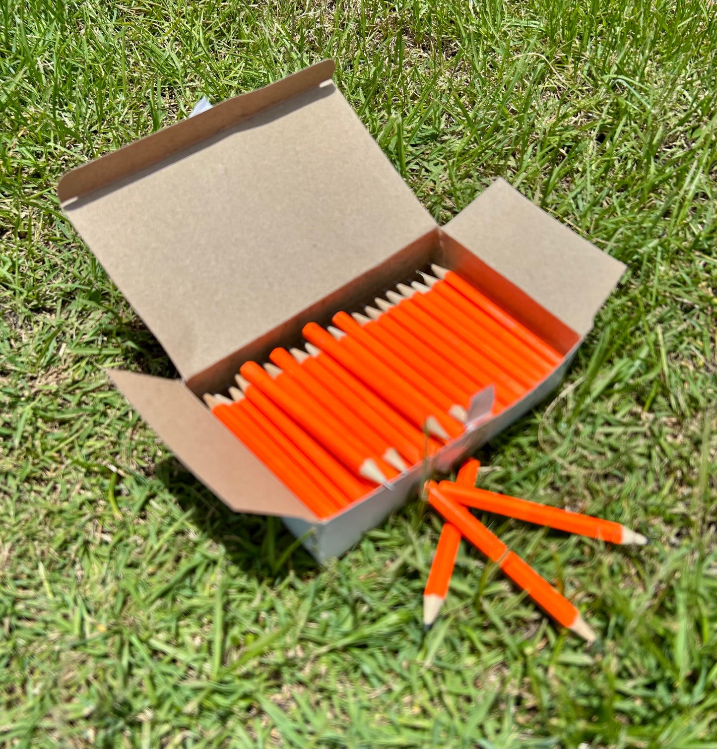 Wooden Pencils - Neon 100 pack