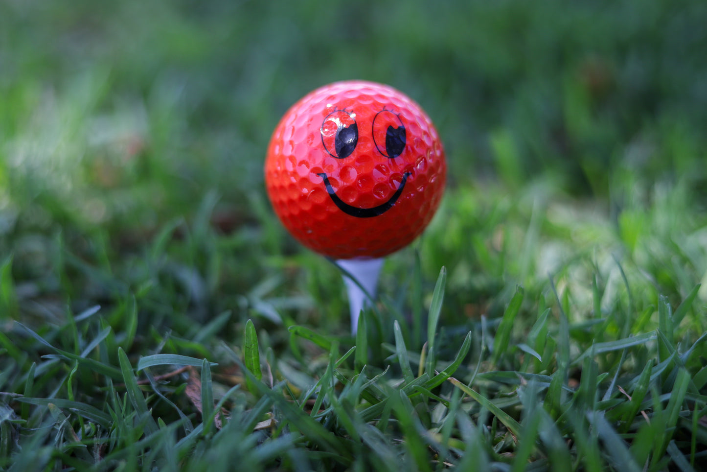 Novelty Mini Golf Balls